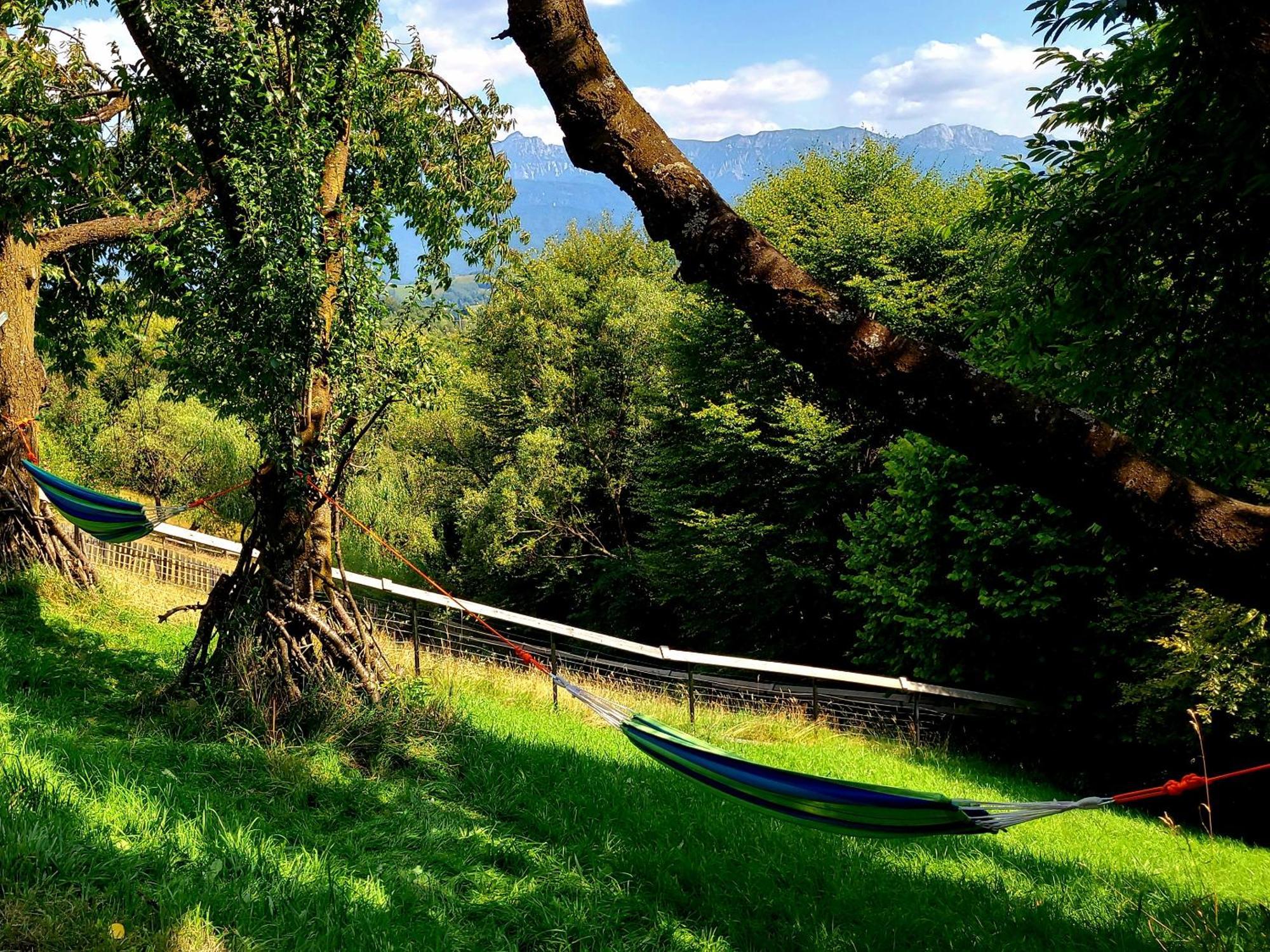 Carpathia Magic -Adults Only Villa Pestera  Kültér fotó